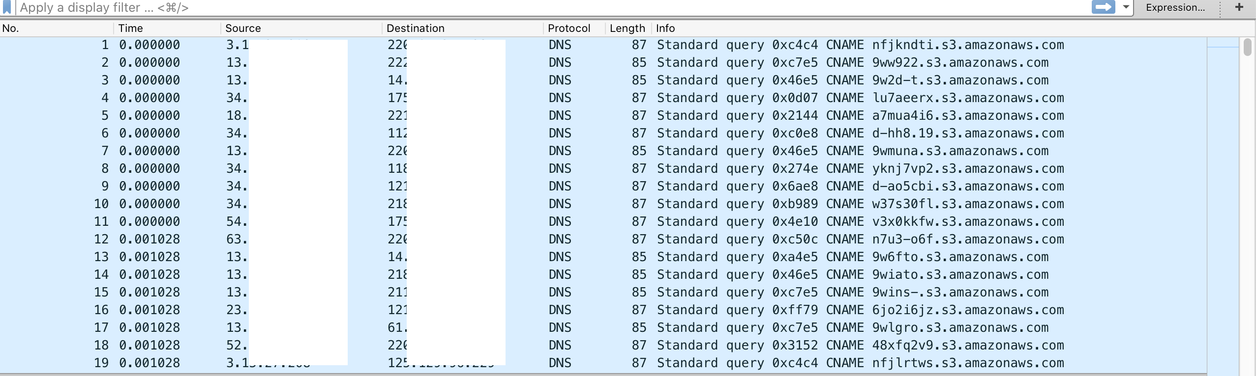 dns_water_torture_attack_packet